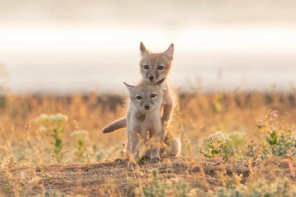 Photograph by Цветков Сергей