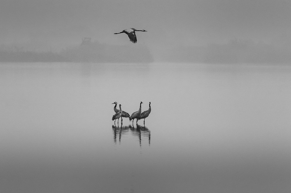 Photograph by Maxim Sayapin