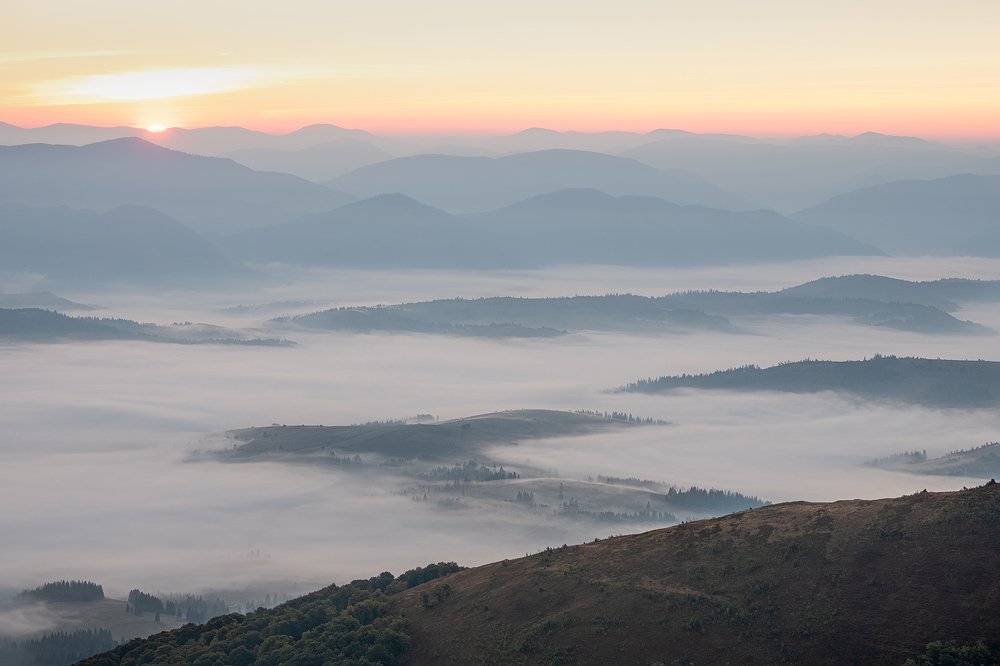 Photograph by Maxim Sayapin