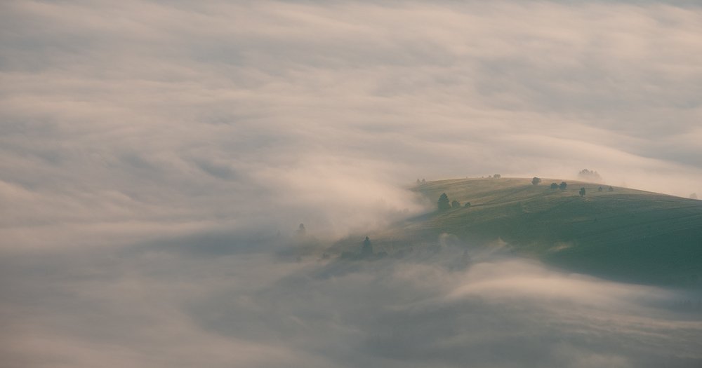 Photograph by Maxim Sayapin