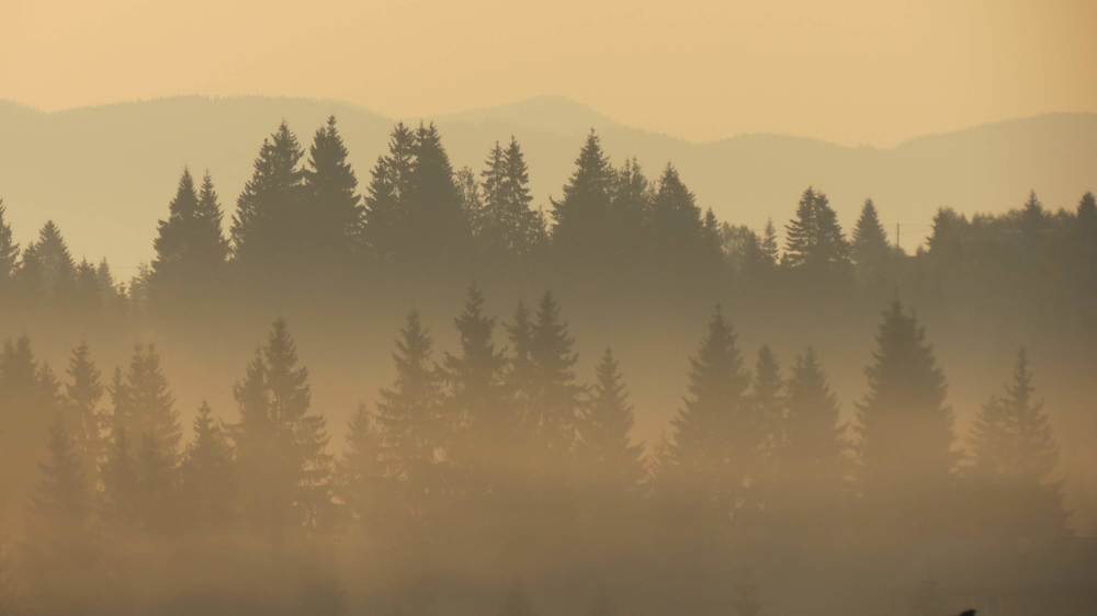 Photo #4843639