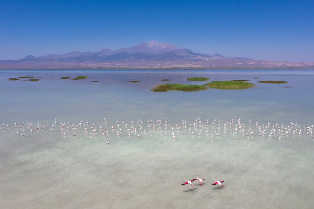 Photograph by F.Dilek Uyar