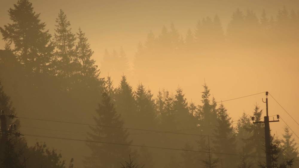 Photo #4843659