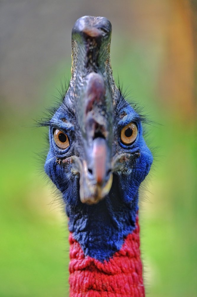 Photograph by Rizal Fauzi
