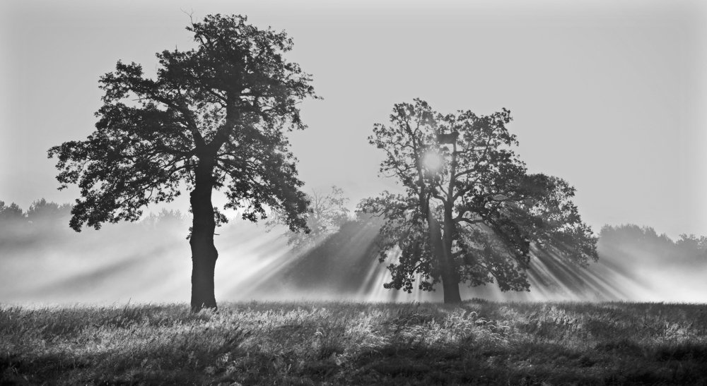 Photograph by Галина Ломако