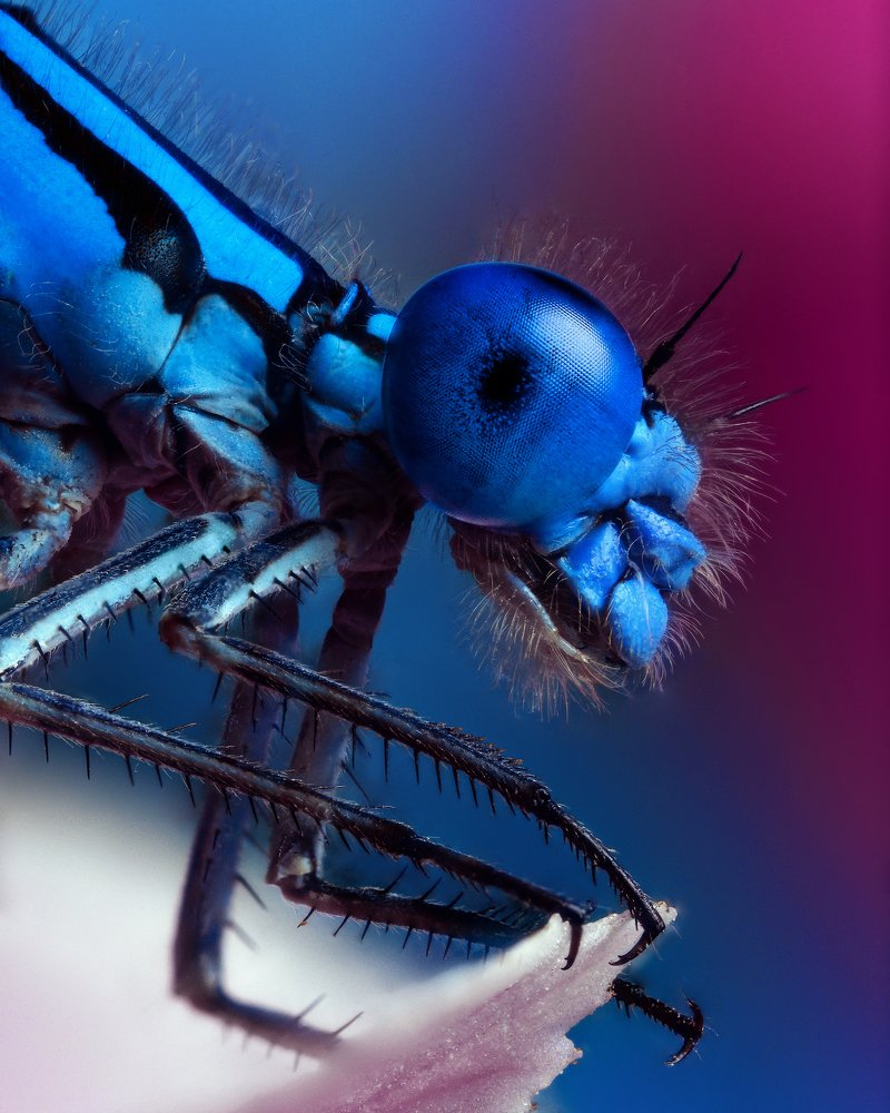 Photograph by Роман Фадеев