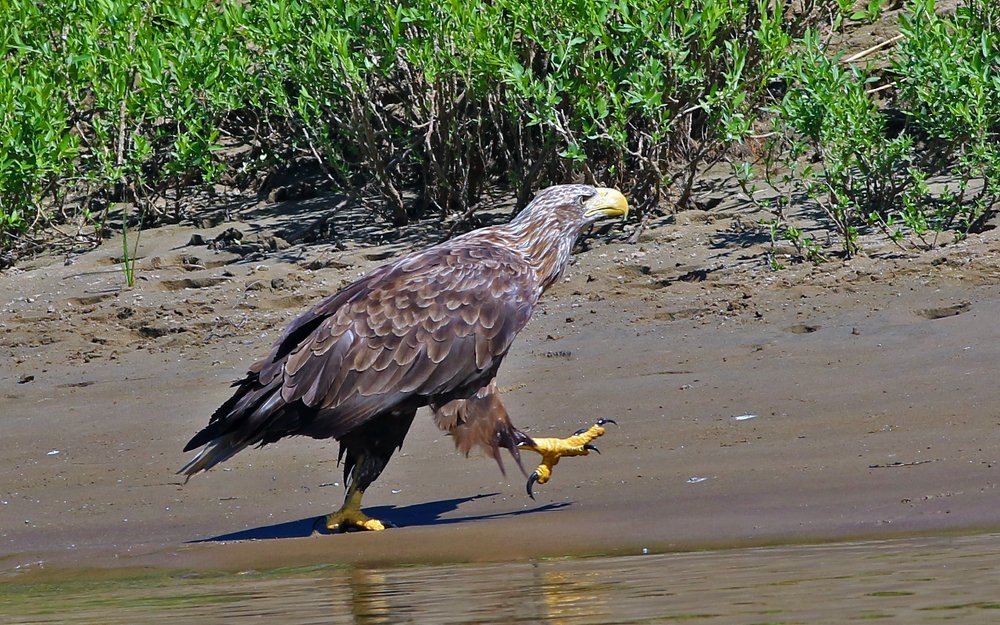 Фотография автора Олег Сенников
