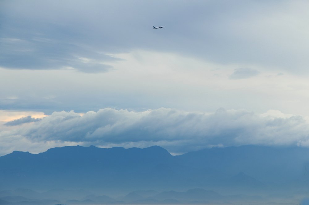 Photograph by Tatiana Barthem