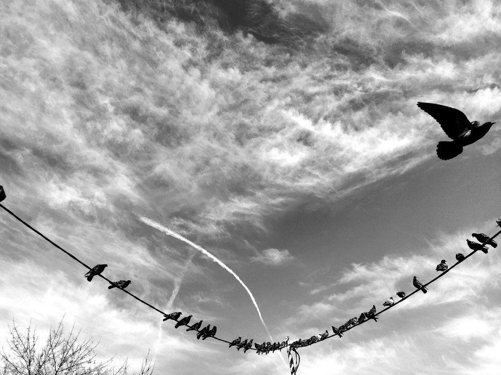 Photograph by Karina Yakovleva