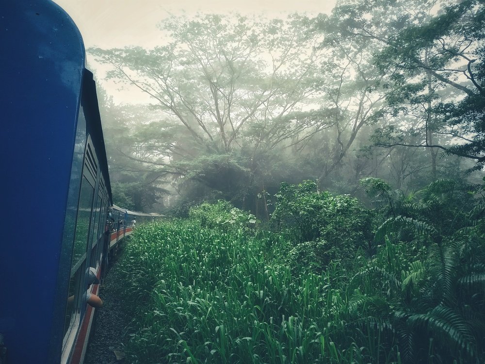 Photograph by Ahamed Nusky