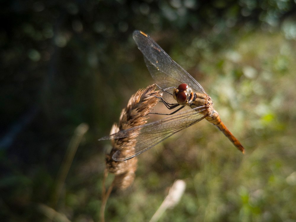 Photograph by Алексей Крукович