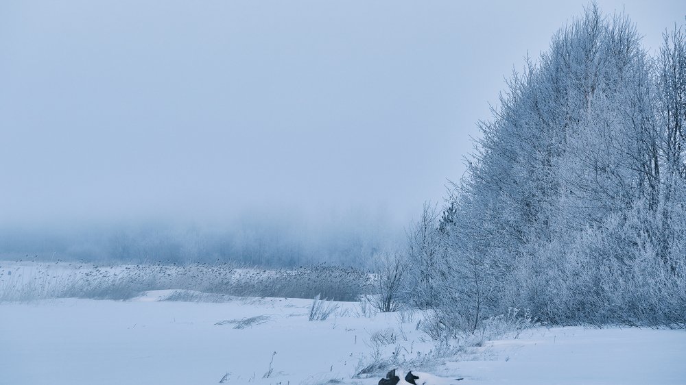 Photograph by Екатерина