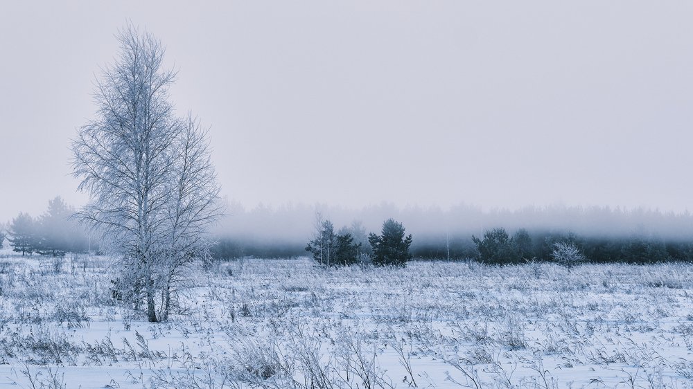 Photograph by Екатерина