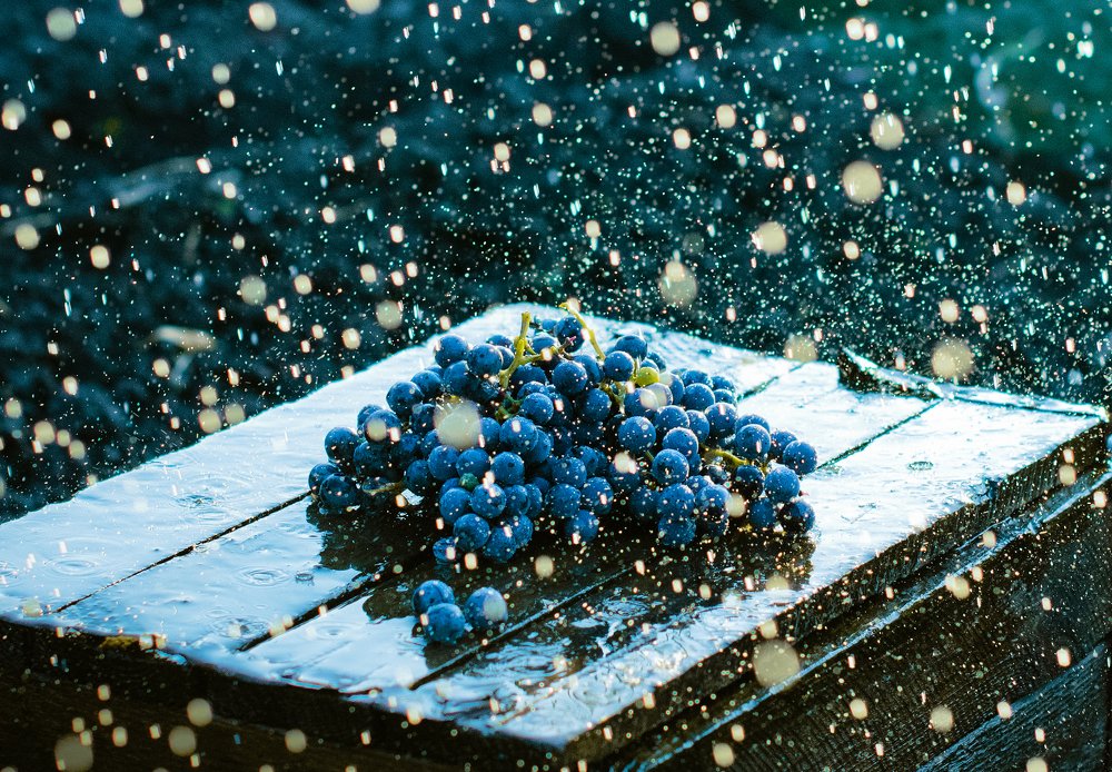 Photograph by Anastasia Terekhina