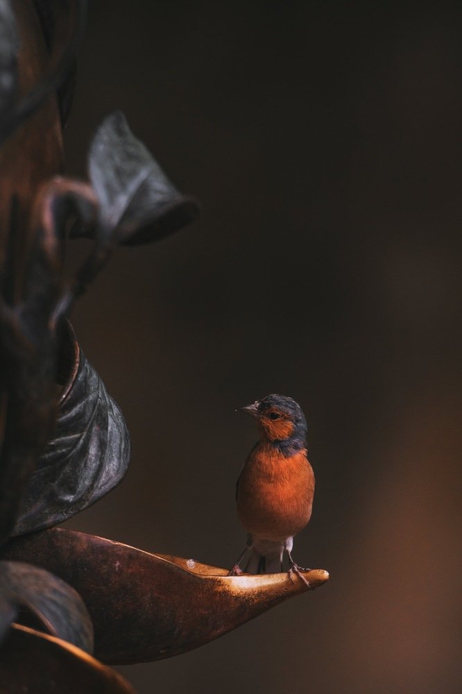 Photograph by Владислав Вебер