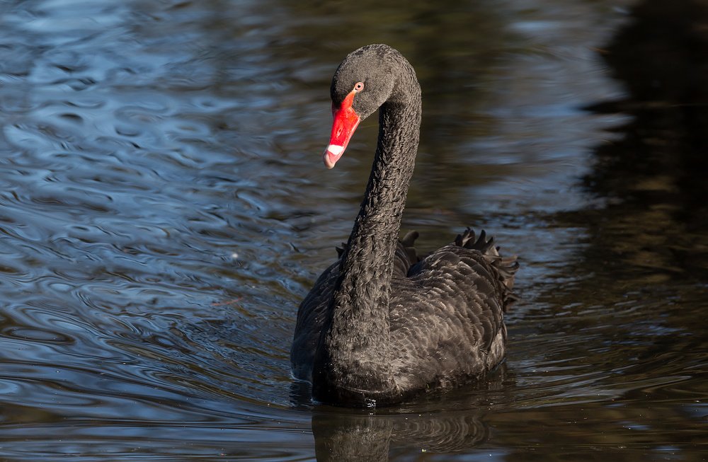 Photograph by Ирина Шумахер