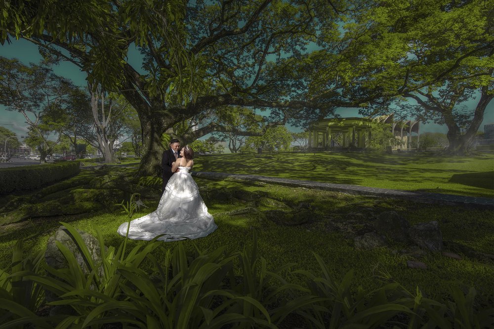 Photograph by Andersen