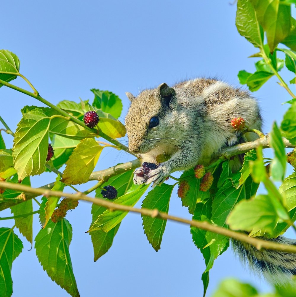Photograph by Khalid Gurchani