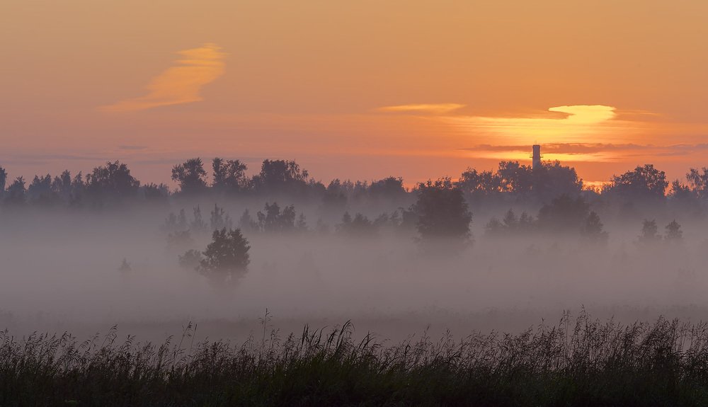 Photograph by Олег Милеев (Каминцев)