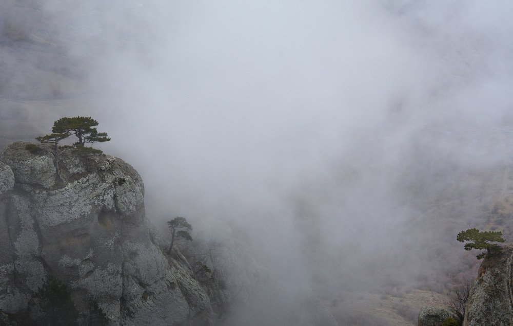 Photograph by Михаил Колтухов