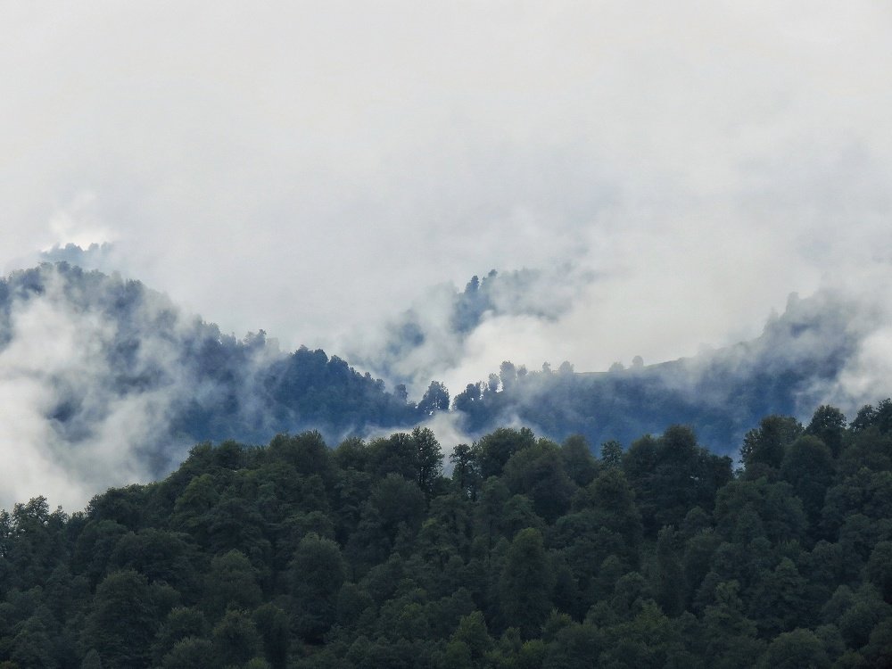 Photograph by Bahrami Ashkan