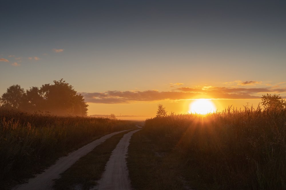 Photograph by Дмитрий Чудинин