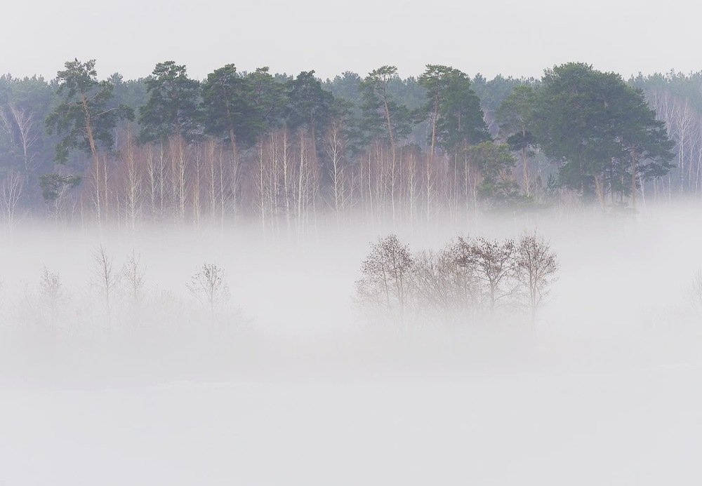 Photograph by Инна Макеева