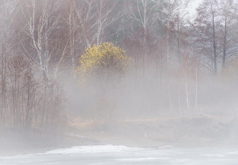 Photograph by Инна Макеева