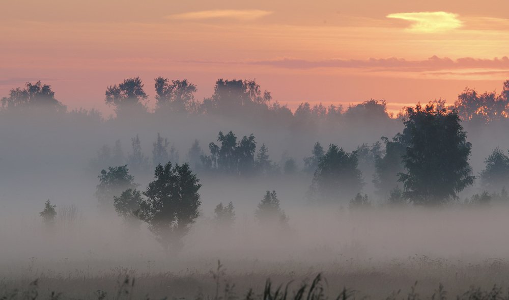 Photograph by Олег Милеев (Каминцев)