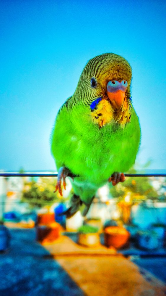 Photograph by Rahman Arifur