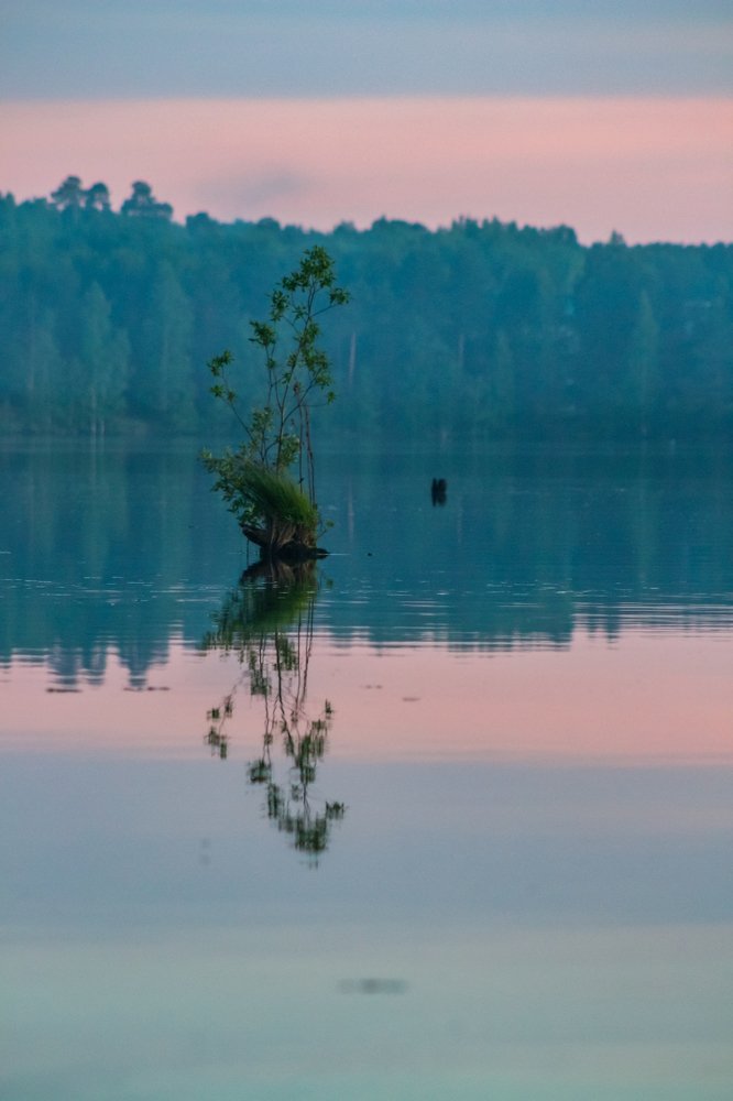 Photograph by Анна Дорофеева