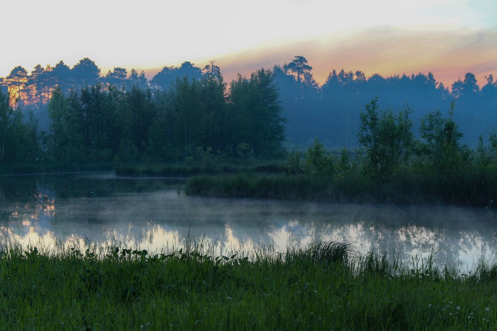 Photograph by Анна Дорофеева