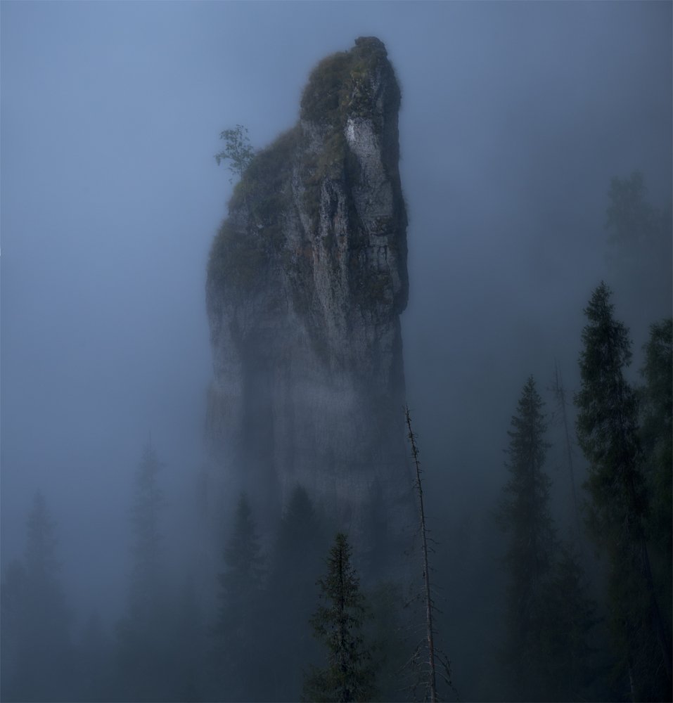 В предрассветном тумане