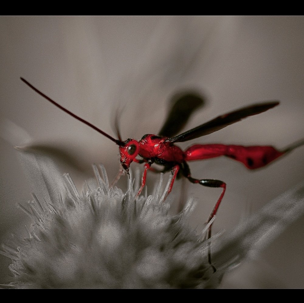Photograph by Onur Eser