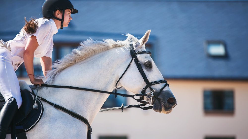 A young rider gallops quickly on a beautiful white horse