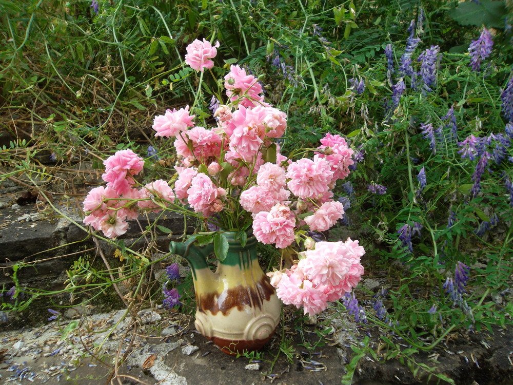 Photograph by Olga Vatkova