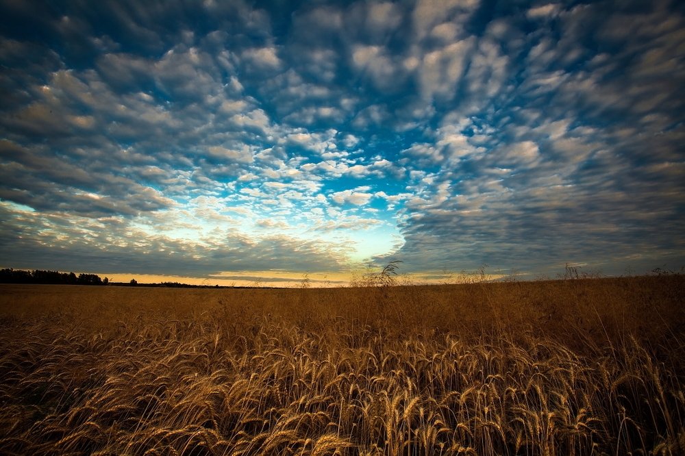 Photograph by Дмитрий Сундеев