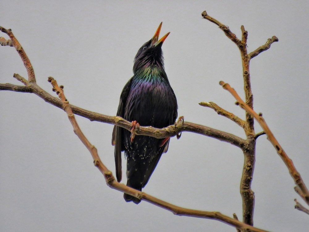 Photograph by Bahrami Ashkan