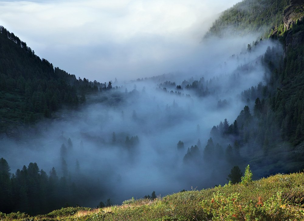 Photograph by Олег Фокин