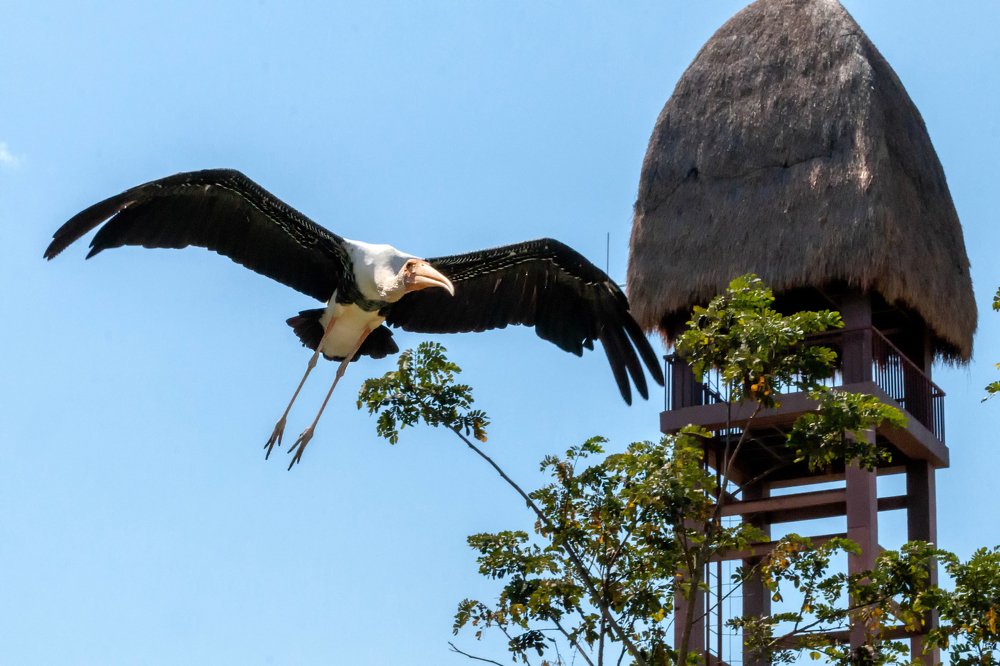 Photograph by Ирина Кононова