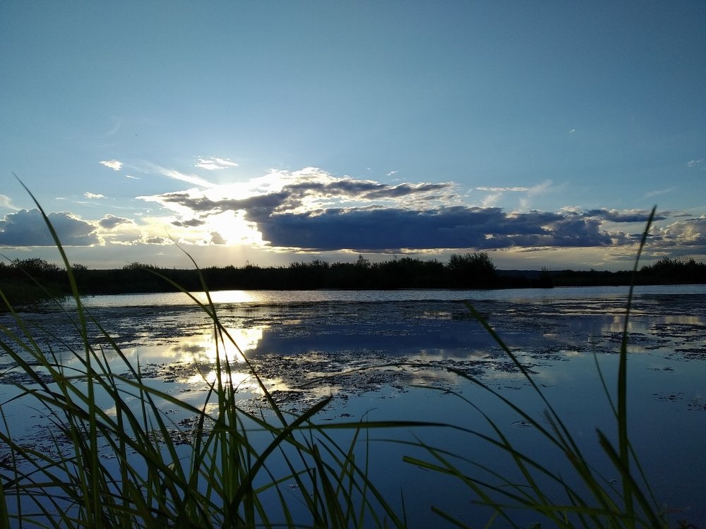 На берегу Камы