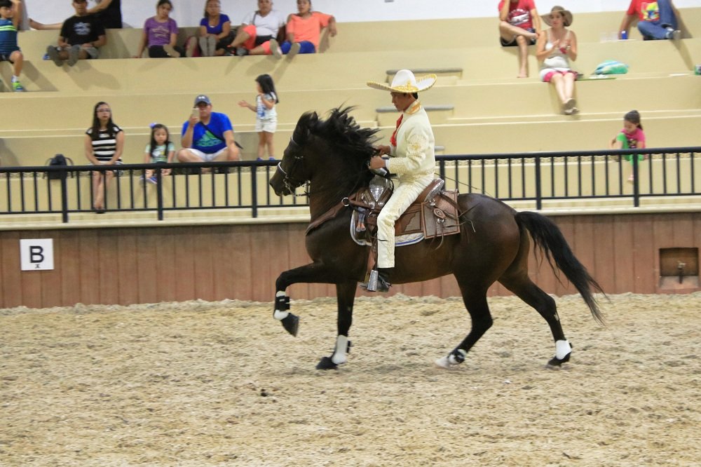 Фотография автора Juan Carlos Castillo