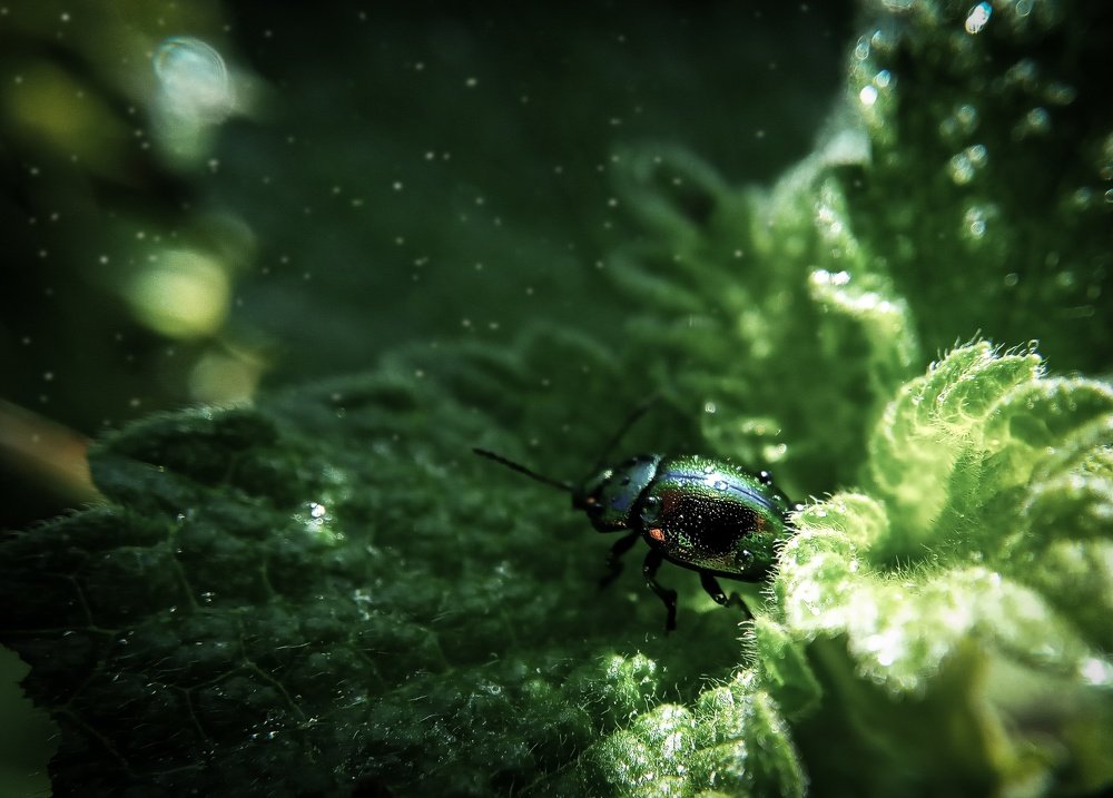 Photograph by Оля Белоусова