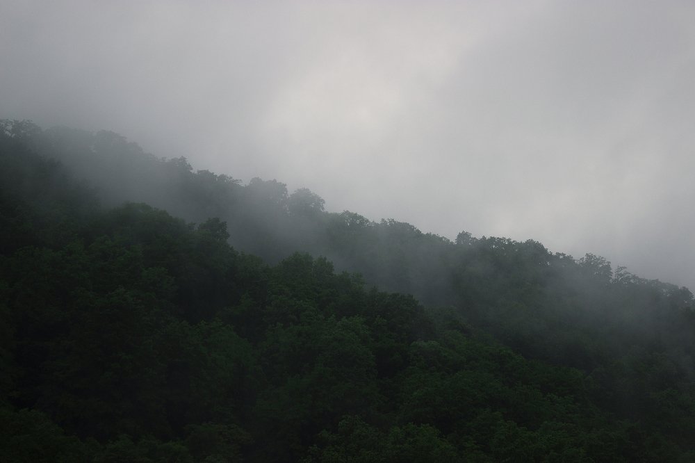 Photograph by Дарья Волкова