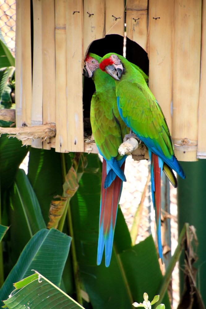 Фотография автора Juan Carlos Castillo