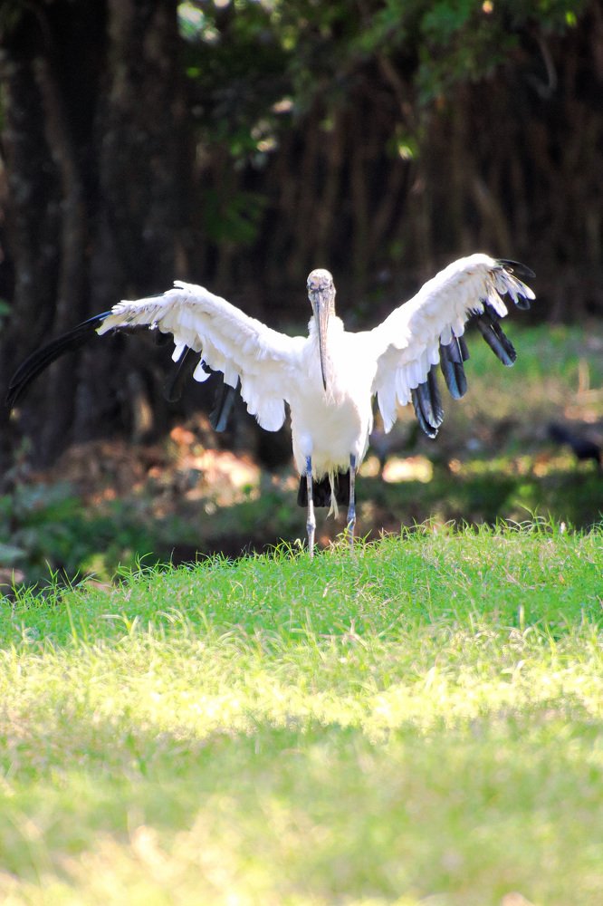 Фотография автора Juan Carlos Castillo