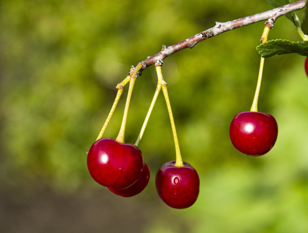 Photograph by Ирина Попел