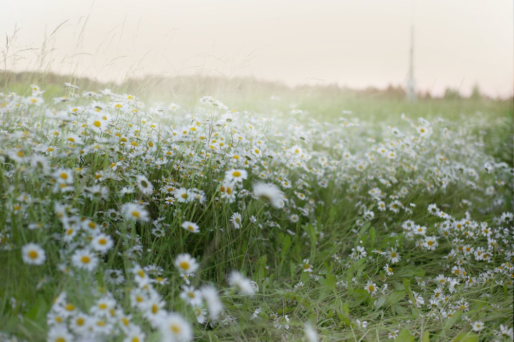 Photograph by Евгения Ляпич