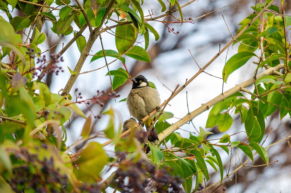 Photograph by Sahar Jafari