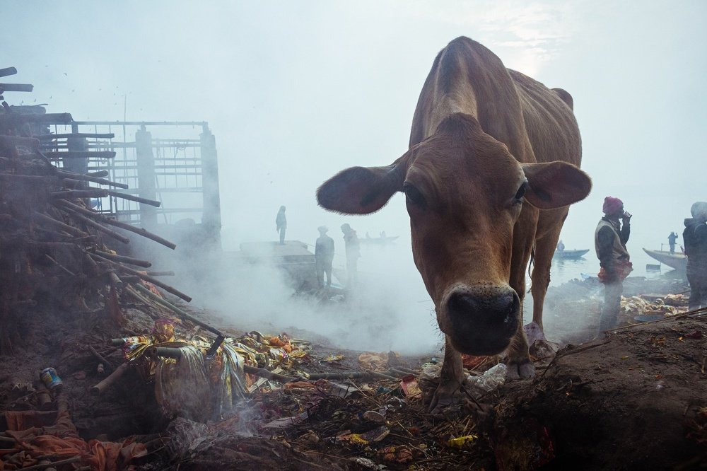 scene at the cremation ground